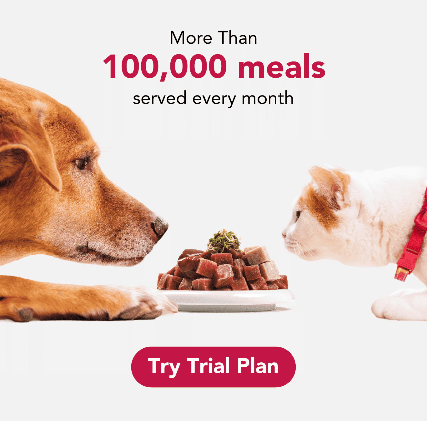 Fresh customised pet meals banner